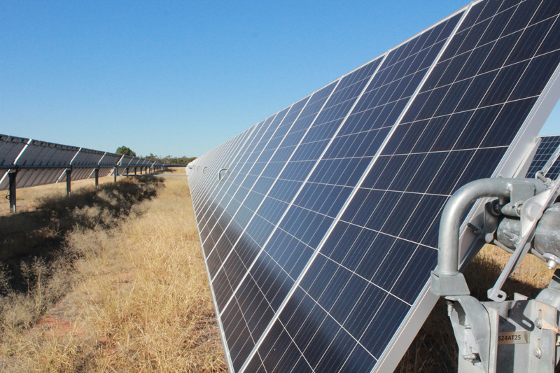 An image of the solar farm at Oakey