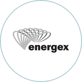 Energex logo