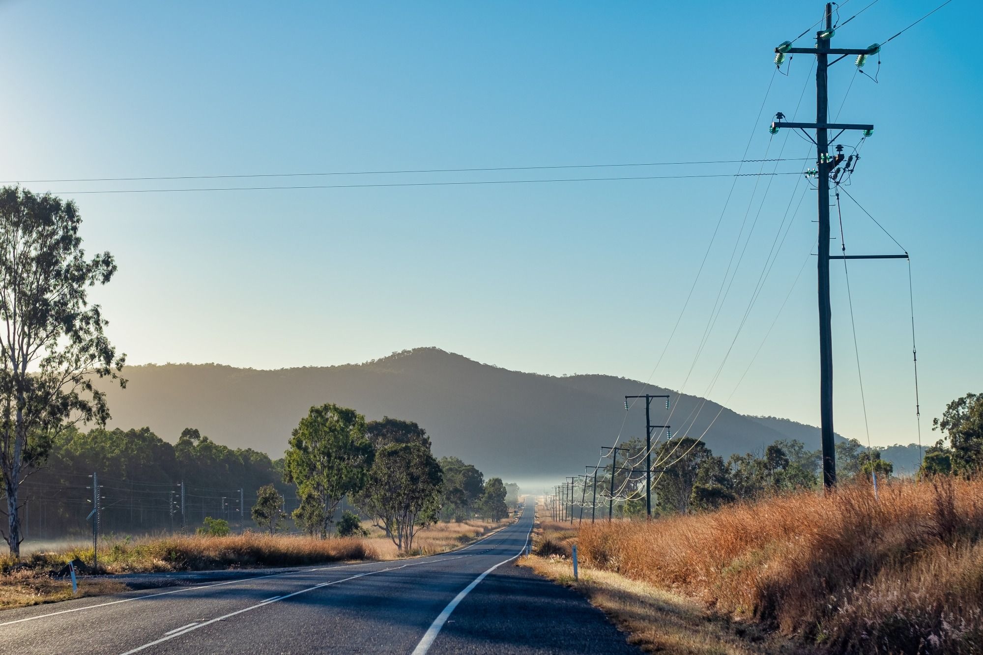 suppliers-energy-queensland